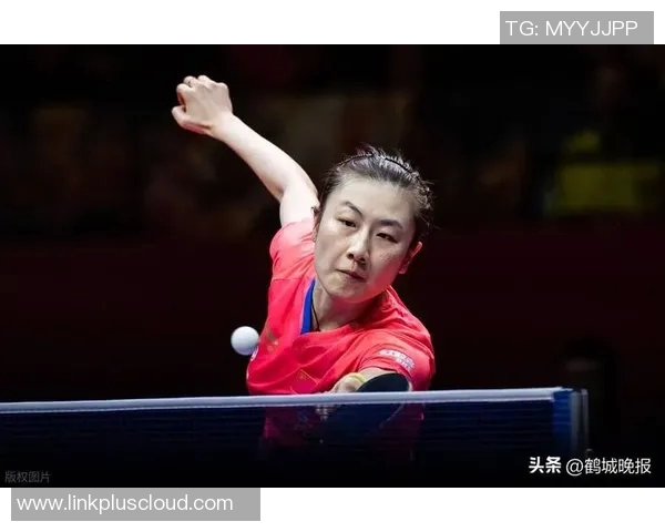 山东体育明星全运会精彩表现及排名分析揭示竞技实力与未来潜力