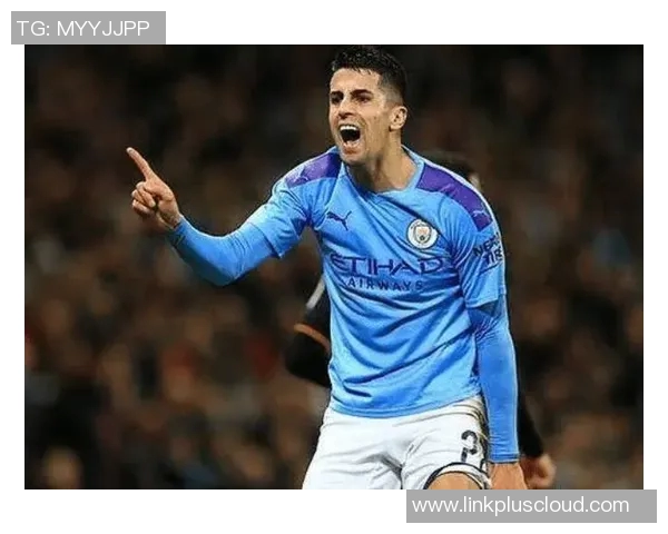 坎塞洛在足球场上的华丽转身与未来发展潜力的深度分析